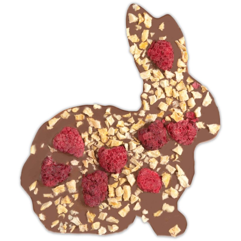 czekolada zając wielkanocna 100 g.jpg