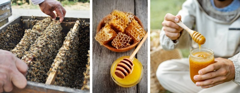 Miody z Roztocza (2).jpg