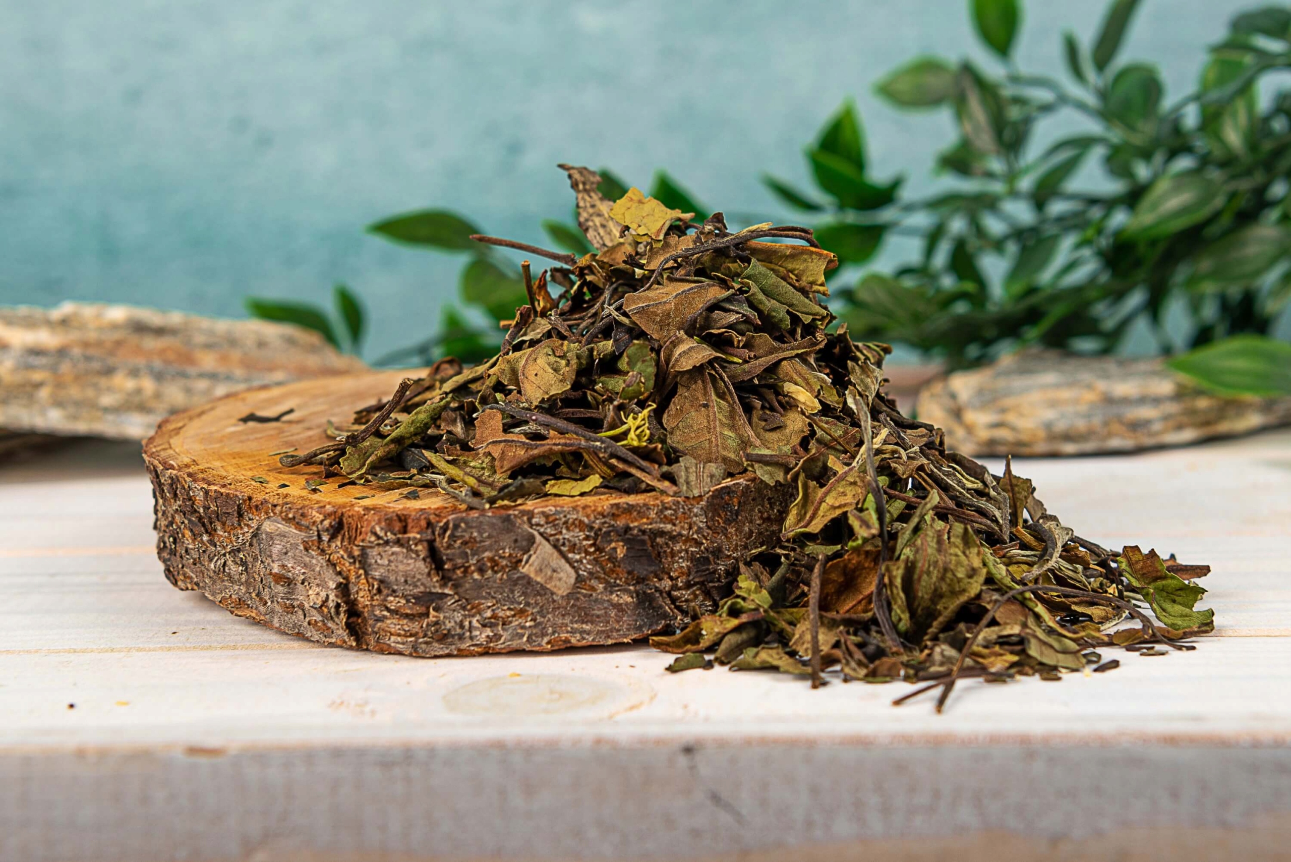 Jasmine Burst 50 g herbata biała jaśminowa liściasta Pai Mu Tan delikatna (3).jpeg